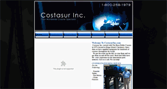 Desktop Screenshot of costasurinc.com